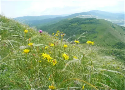 Краснодарский край