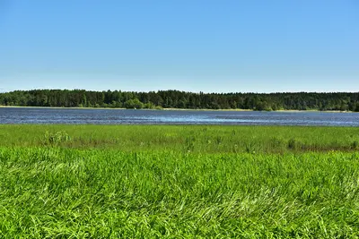 Карелия
