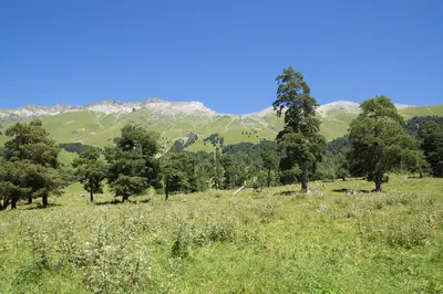 Архыз